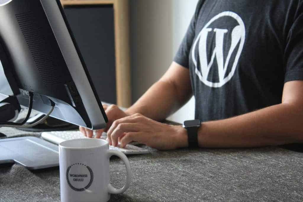 wordpress-worker-image wordpress worker at laptop